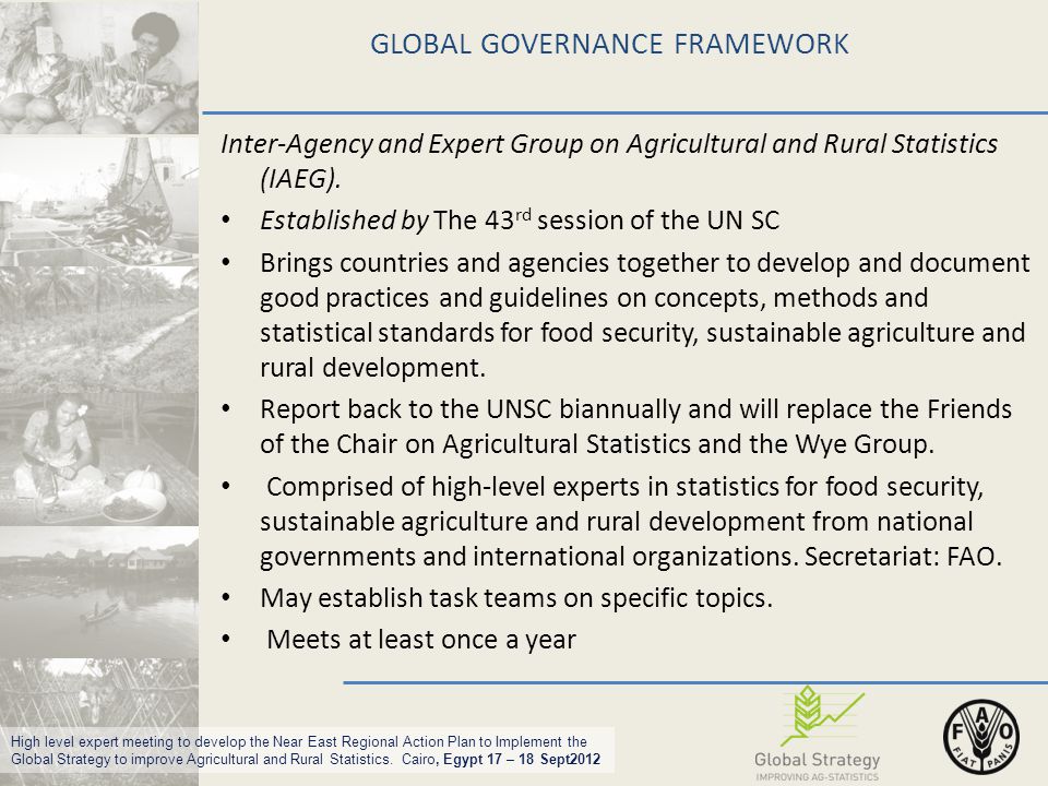 High level expert meeting to develop the Near East Regional Action Plan to Implement the Global Strategy to improve Agricultural and Rural Statistics.