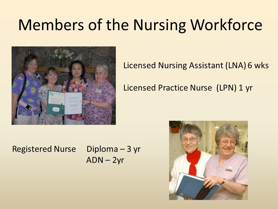 Members of the Nursing Workforce Licensed Nursing Assistant (LNA) 6 wks Licensed Practice Nurse (LPN) 1 yr Registered Nurse Diploma – 3 yr ADN – 2yr