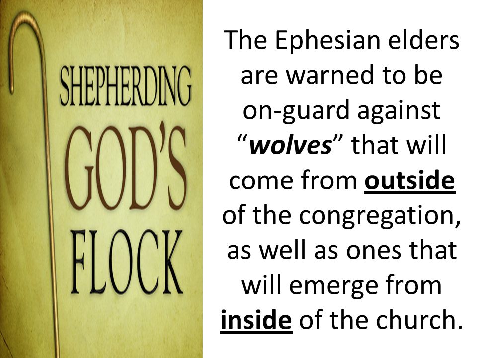 The Ephesian elders are warned to be on-guard against wolves that will come from outside of the congregation, as well as ones that will emerge from inside of the church.