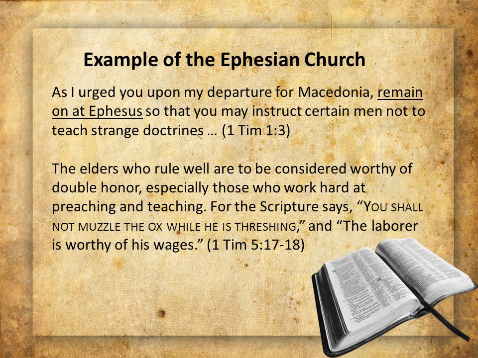 As I urged you upon my departure for Macedonia, remain on at Ephesus so that you may instruct certain men not to teach strange doctrines … (1 Tim 1:3) The elders who rule well are to be considered worthy of double honor, especially those who work hard at preaching and teaching.