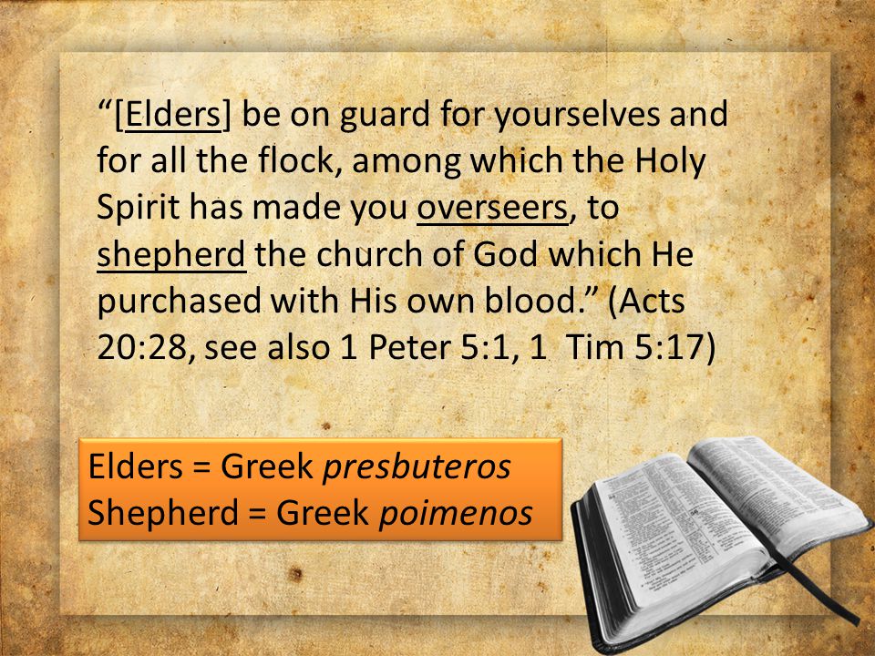 [Elders] be on guard for yourselves and for all the flock, among which the Holy Spirit has made you overseers, to shepherd the church of God which He purchased with His own blood. (Acts 20:28, see also 1 Peter 5:1, 1 Tim 5:17) Elders = Greek presbuteros Shepherd = Greek poimenos