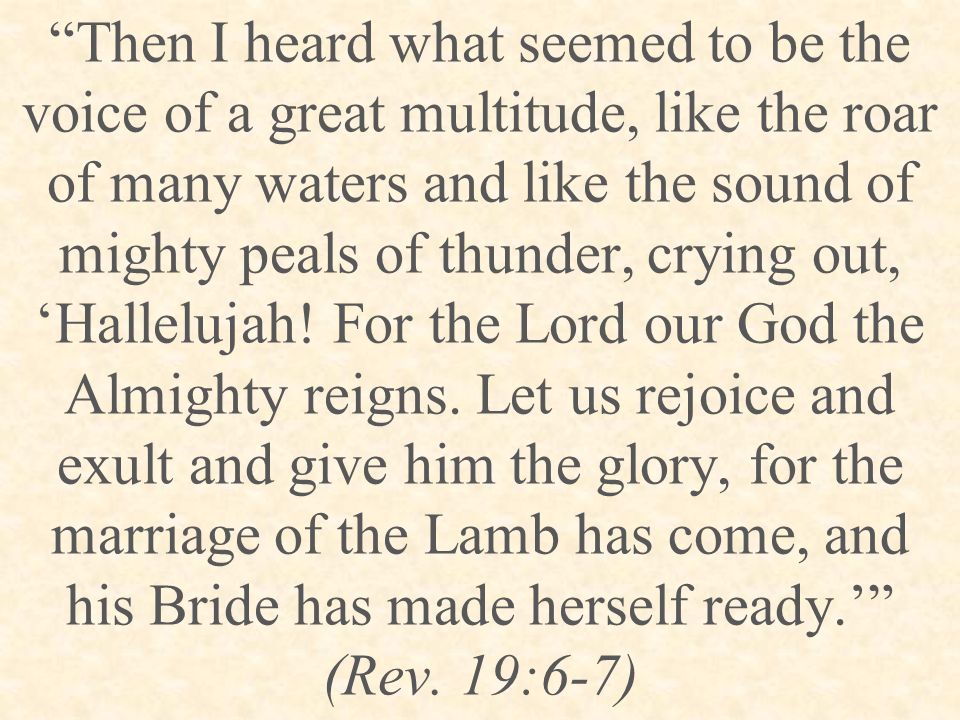Then I heard what seemed to be the voice of a great multitude, like the roar of many waters and like the sound of mighty peals of thunder, crying out, ‘Hallelujah.