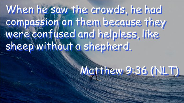 When he saw the crowds, he had compassion on them because they were confused and helpless, like sheep without a shepherd.