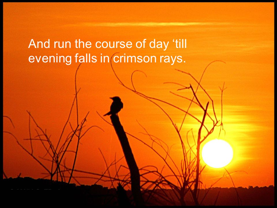 And run the course of day ‘till evening falls in crimson rays.