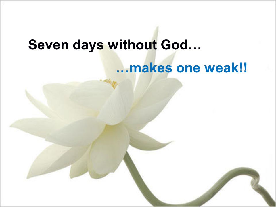 Seven days without God… …makes one weak!!