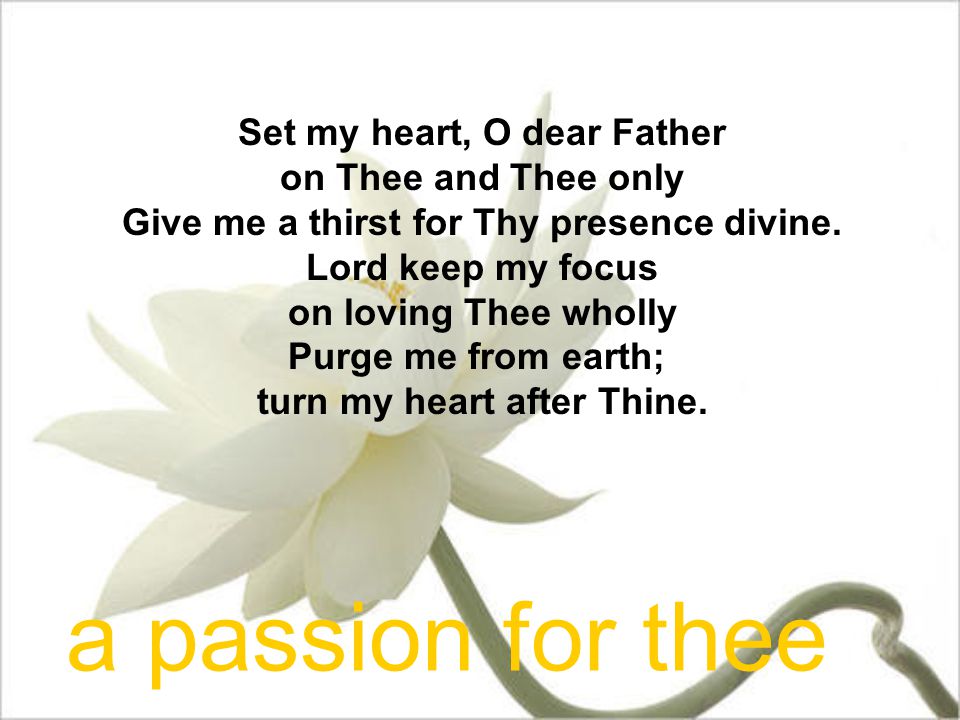Set my heart, O dear Father on Thee and Thee only Give me a thirst for Thy presence divine.