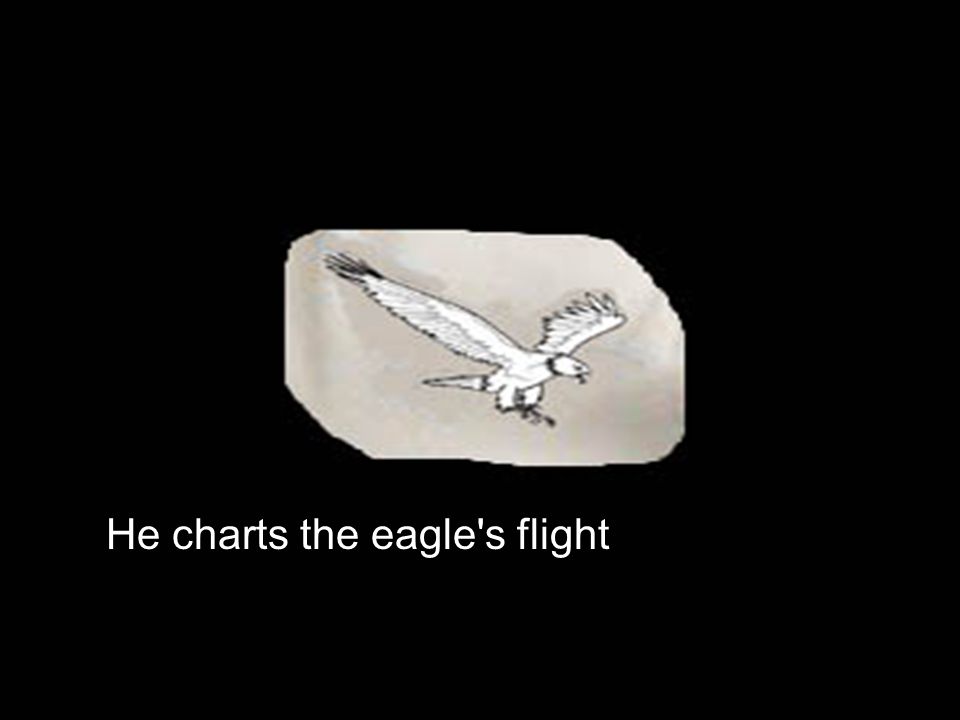 He charts the eagle s flight