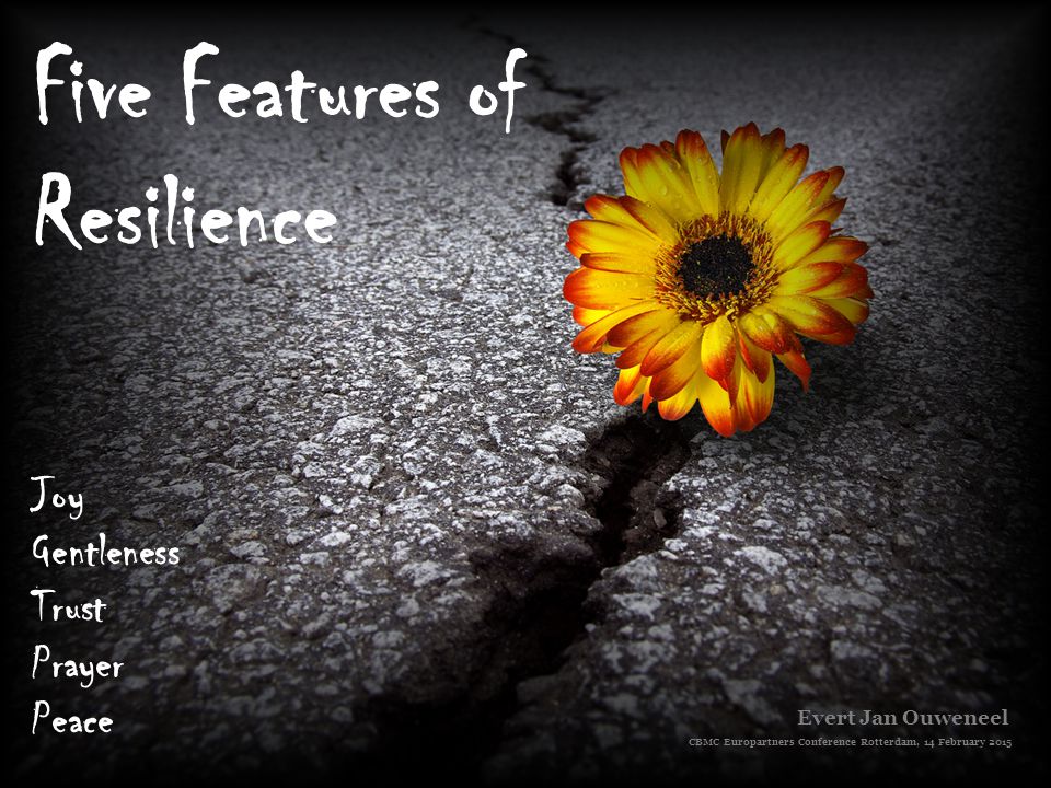 Five Features of Resilience Joy Gentleness Trust Prayer Peace Evert Jan Ouweneel CBMC Europartners Conference Rotterdam, 14 February 2015