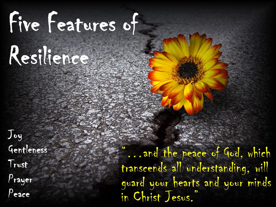 Five Features of Resilience Joy Gentleness Trust Prayer Peace …and the peace of God, which transcends all understanding, will guard your hearts and your minds in Christ Jesus.