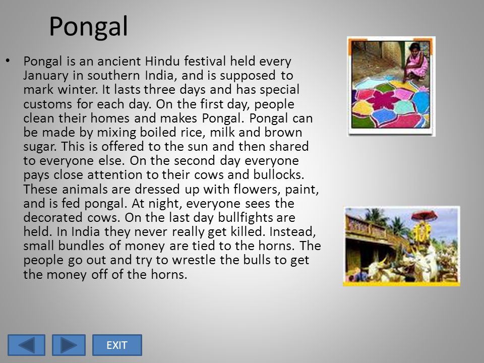 Pongal Pongal is an ancient Hindu festival held every January in southern India, and is supposed to mark winter.