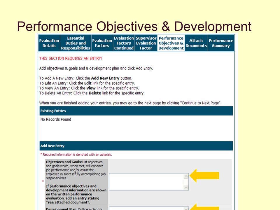 Performance Objectives & Development