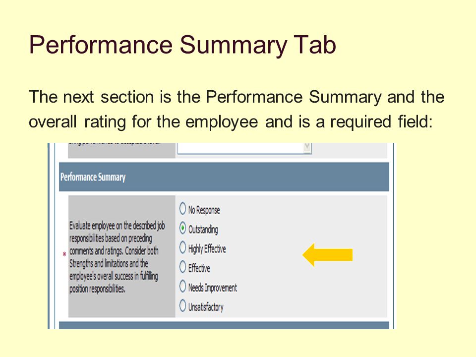 Performance Summary Tab The next section is the Performance Summary and the overall rating for the employee and is a required field: