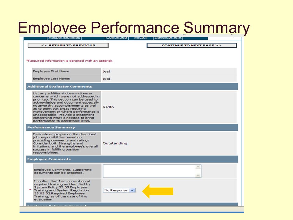 Employee Performance Summary
