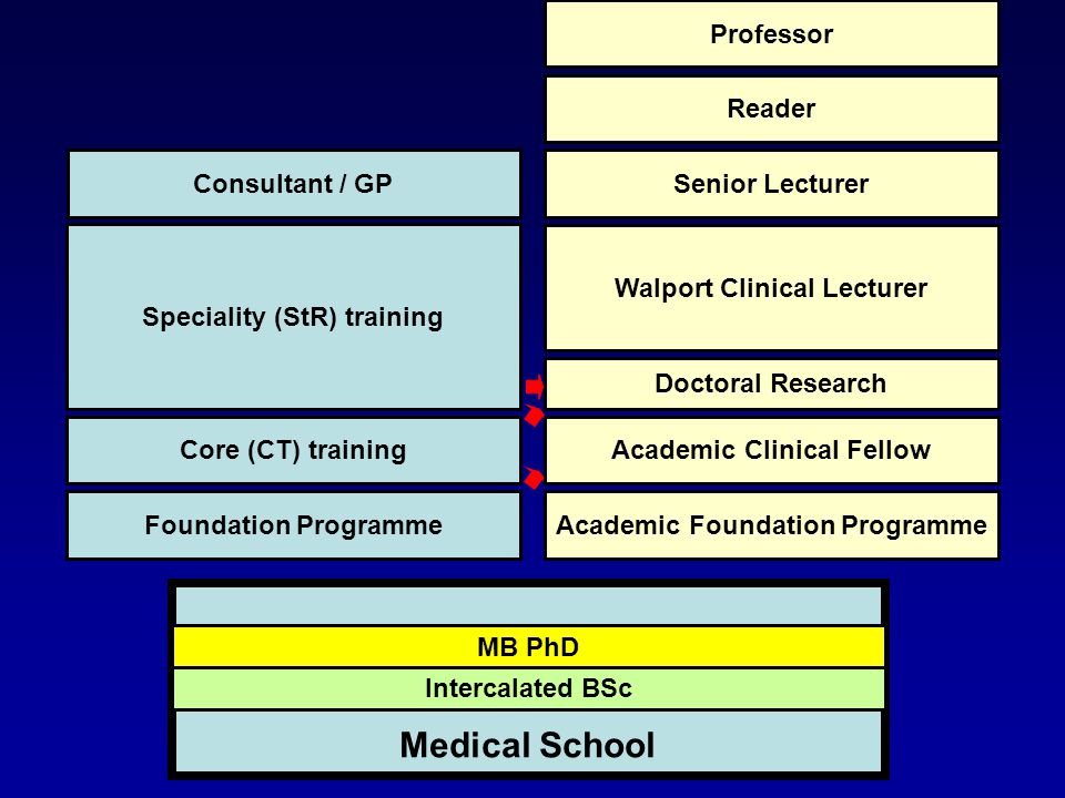 Intercalated BSc MB PhD Medical School Foundation Programme Core (CT) training Speciality (StR) training Consultant / GP Academic Foundation Programme Academic Clinical Fellow Doctoral Research Walport Clinical Lecturer Senior Lecturer Reader Professor