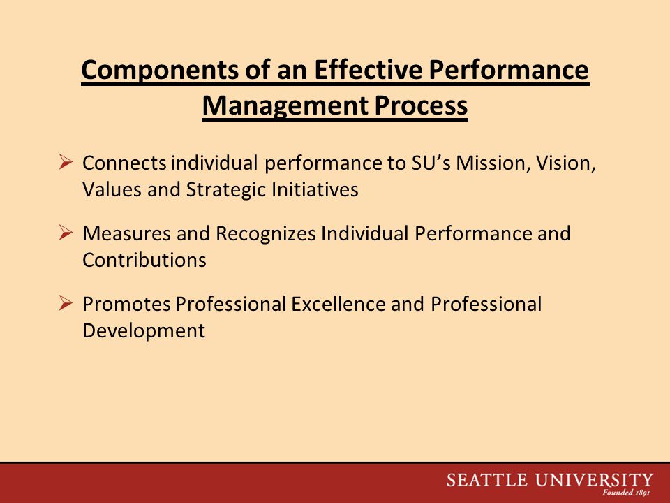 Components of an Effective Performance Management Process  Connects individual performance to SU’s Mission, Vision, Values and Strategic Initiatives  Measures and Recognizes Individual Performance and Contributions  Promotes Professional Excellence and Professional Development