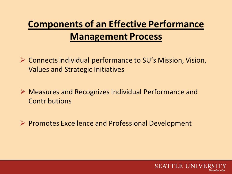 Components of an Effective Performance Management Process  Connects individual performance to SU’s Mission, Vision, Values and Strategic Initiatives  Measures and Recognizes Individual Performance and Contributions  Promotes Excellence and Professional Development
