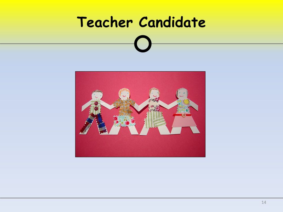 Teacher Candidate 14