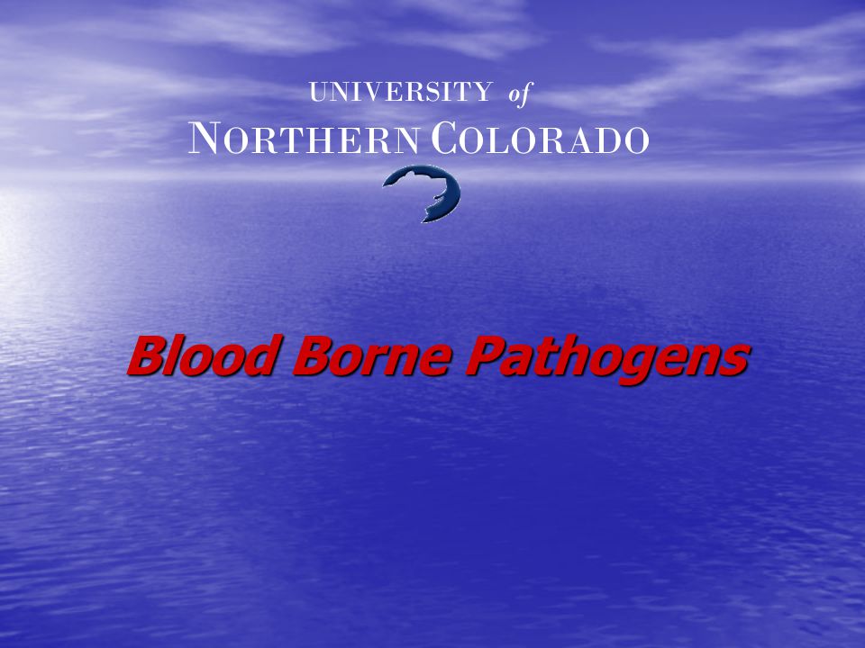Blood Borne Pathogens UNIVERSITY of N ORTHERN C OLORADO