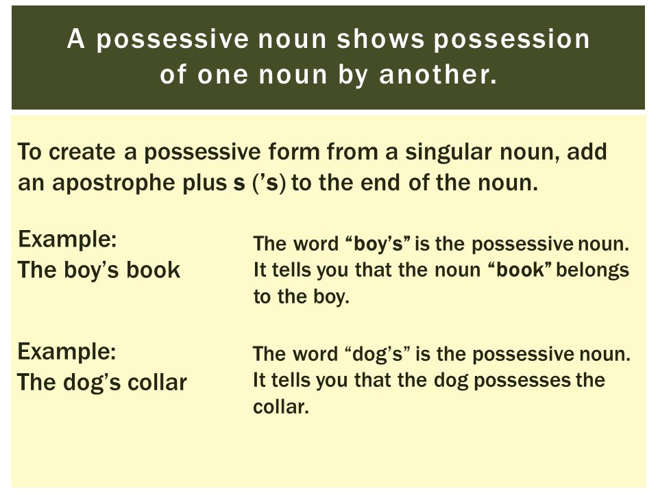 A possessive noun shows possession of one noun by another.