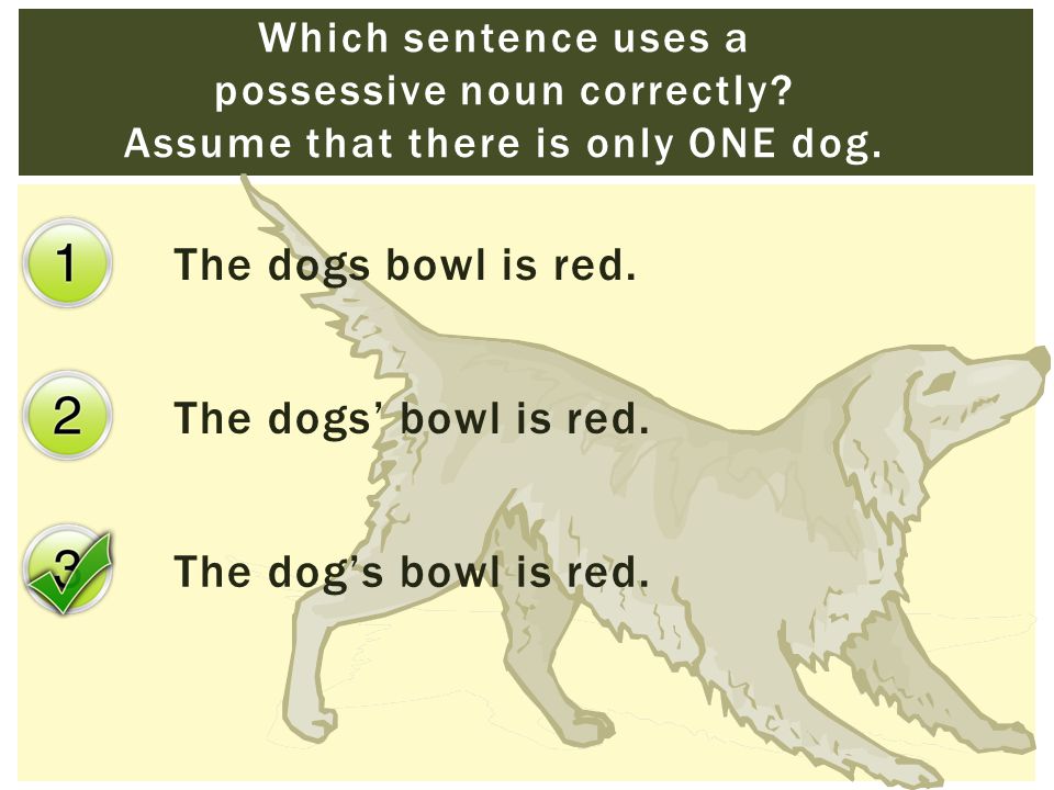 The dogs bowl is red. The dogs’ bowl is red. The dog’s bowl is red.
