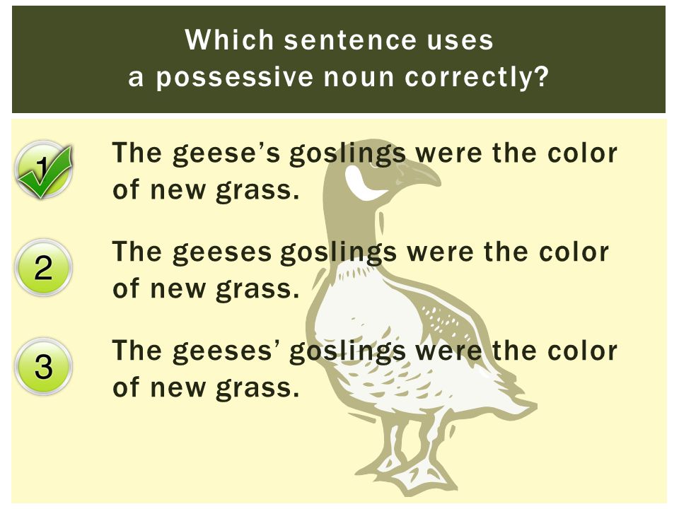 The geese’s goslings were the color of new grass. The geeses goslings were the color of new grass.