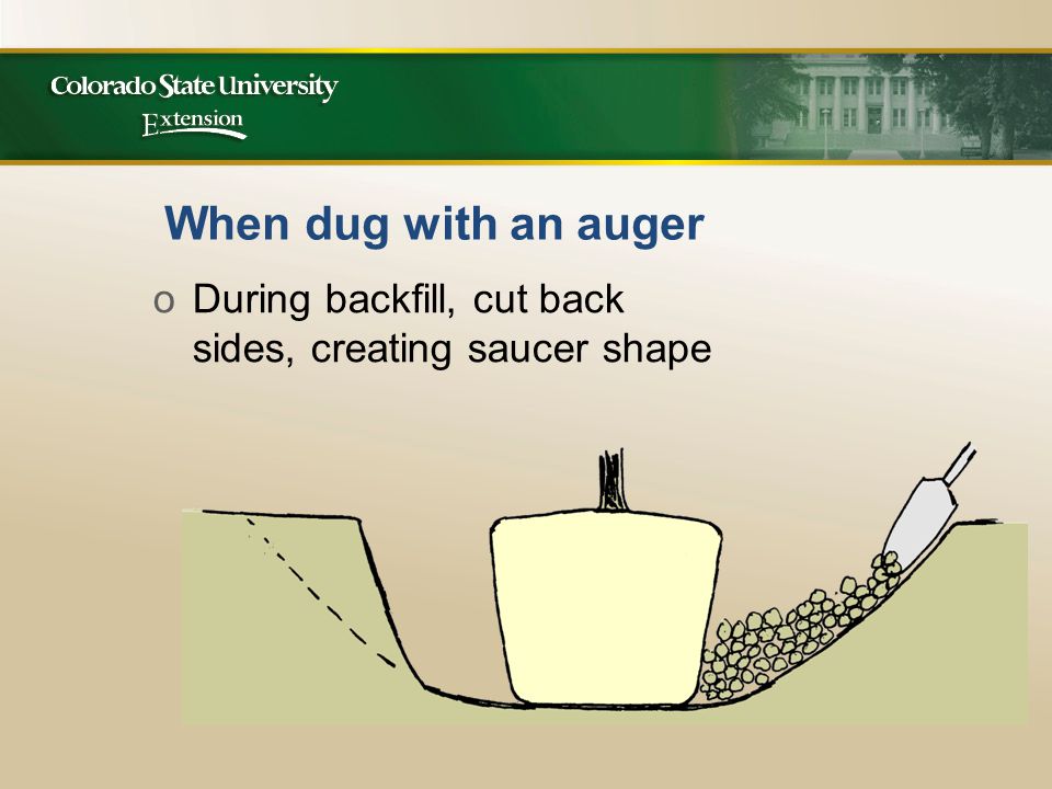 When dug with an auger oDuring backfill, cut back sides, creating saucer shape