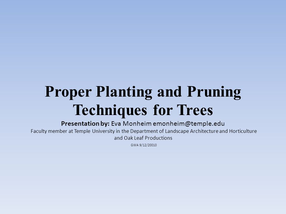 Proper Planting and Pruning Techniques for Trees Presentation by: Eva Monheim Faculty member at Temple University in the Department of Landscape Architecture and Horticulture and Oak Leaf Productions GWA 9/12/20010