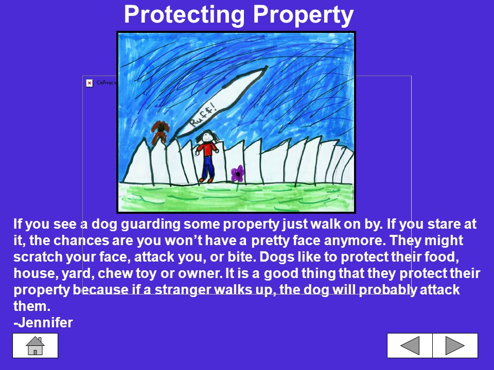 Safety Protecting Property How to Pet a Dog Strange Dogs Walking With a Leash