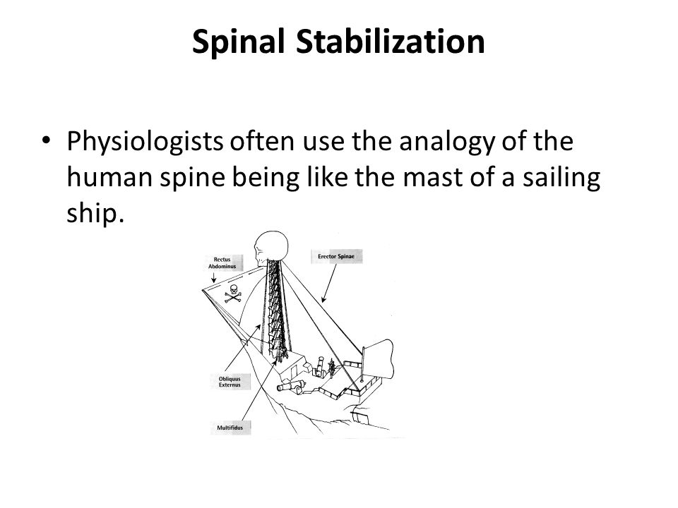 Spinal Stabilization Physiologists often use the analogy of the human spine being like the mast of a sailing ship.