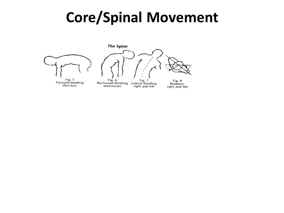 Core/Spinal Movement