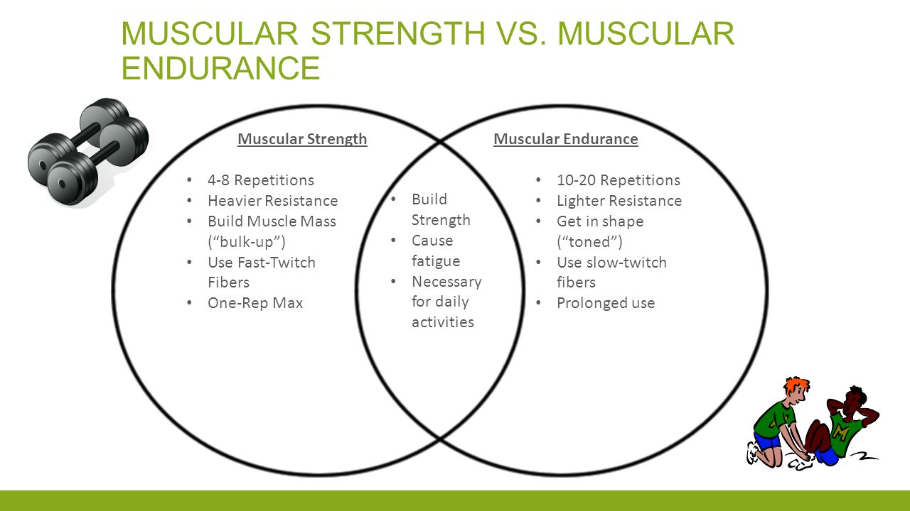 MUSCULAR STRENGTH AND ENDURANCE FITNESS COMPONENTS. - ppt