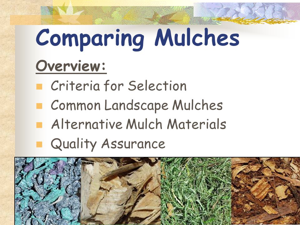 Comparing Mulches Overview: Criteria for Selection Common Landscape Mulches Alternative Mulch Materials Quality Assurance