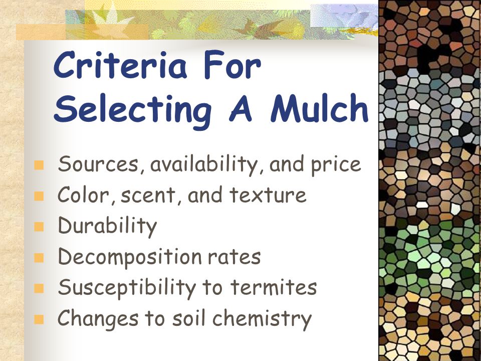 Criteria For Selecting A Mulch Sources, availability, and price Color, scent, and texture Durability Decomposition rates Susceptibility to termites Changes to soil chemistry