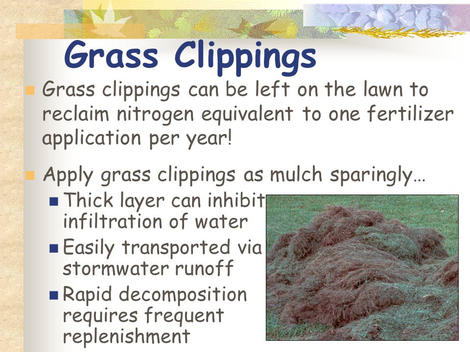 Grass clippings can be left on the lawn to reclaim nitrogen equivalent to one fertilizer application per year.