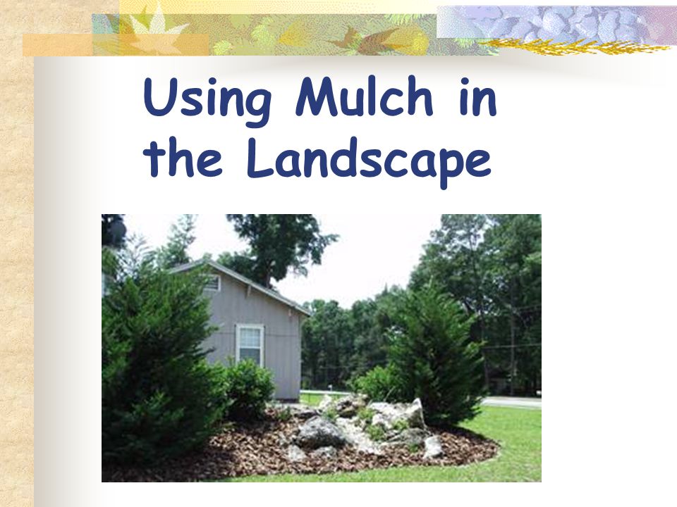 Using Mulch in the Landscape