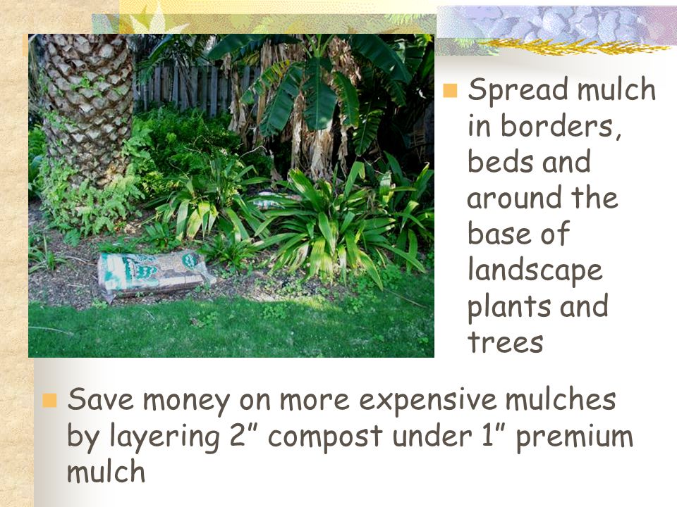 Spread mulch in borders, beds and around the base of landscape plants and trees Save money on more expensive mulches by layering 2 compost under 1 premium mulch