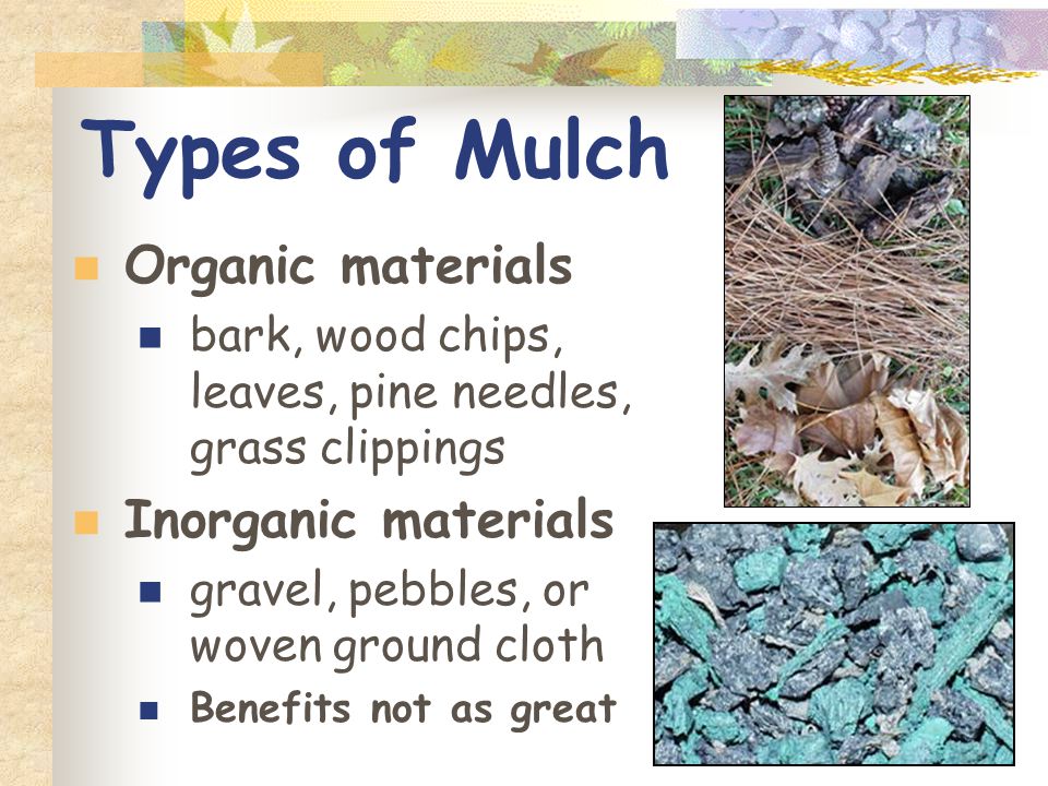 Types of Mulch Organic materials bark, wood chips, leaves, pine needles, grass clippings Inorganic materials gravel, pebbles, or woven ground cloth Benefits not as great