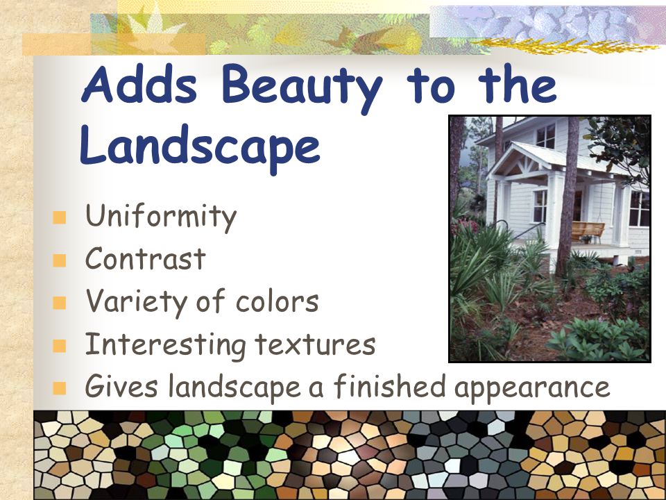 Adds Beauty to the Landscape Uniformity Contrast Variety of colors Interesting textures Gives landscape a finished appearance