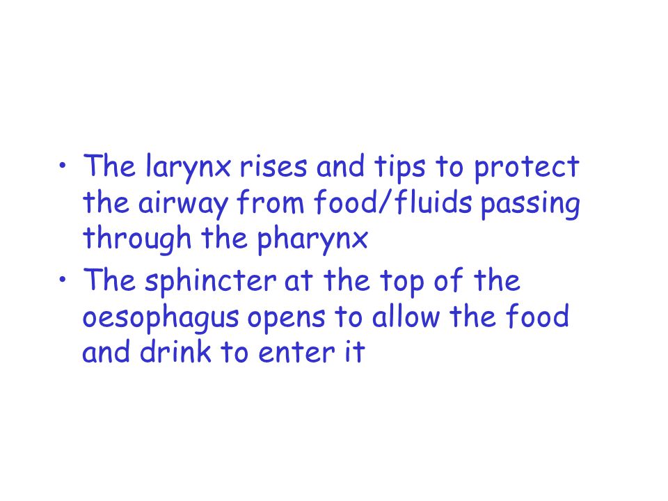 The larynx rises and tips to protect the airway from food/fluids passing through the pharynx The sphincter at the top of the oesophagus opens to allow the food and drink to enter it