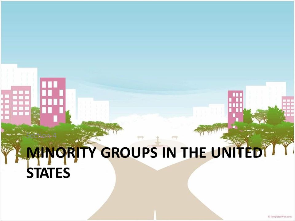 Section 4 MINORITY GROUPS IN THE UNITED STATES