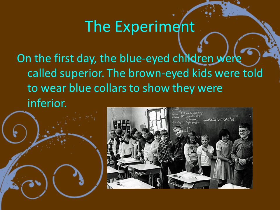 the blue eye brown eye experiment