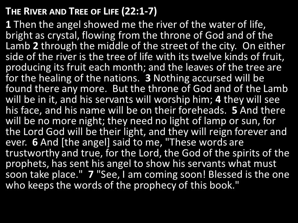 T HE R IVER AND T REE OF L IFE (22:1-7) 1 Then the angel showed me the river of the water of life, bright as crystal, flowing from the throne of God and of the Lamb 2 through the middle of the street of the city.