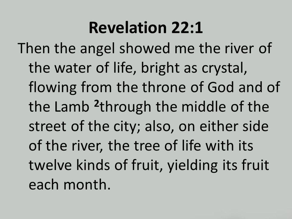 Revelation 22:1 Then the angel showed me the river of the water of life, bright as crystal, flowing from the throne of God and of the Lamb 2 through the middle of the street of the city; also, on either side of the river, the tree of life with its twelve kinds of fruit, yielding its fruit each month.