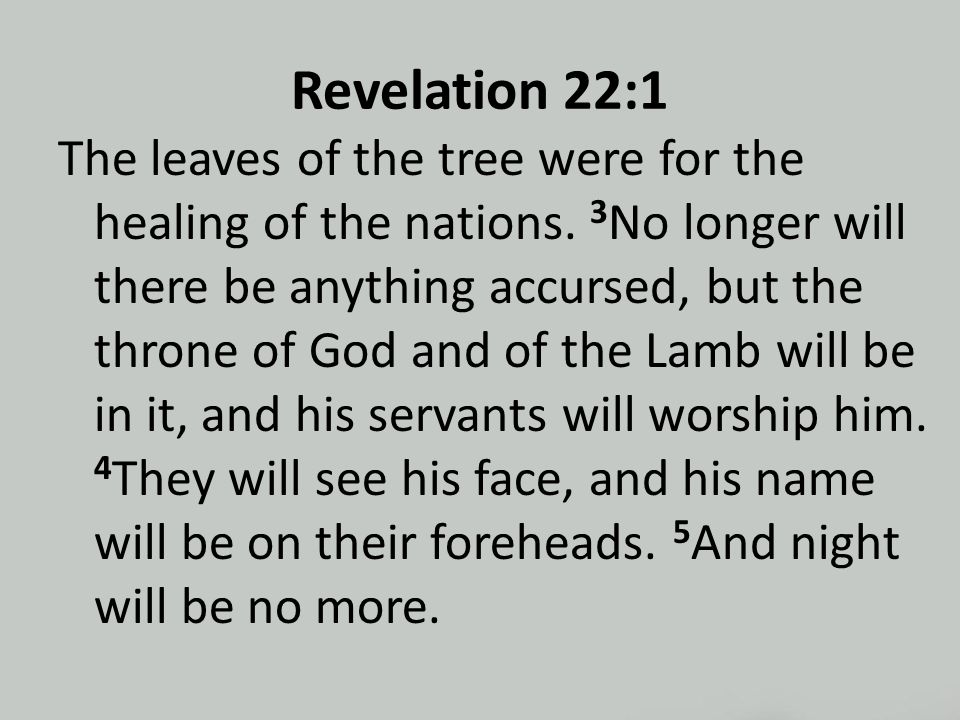 Revelation 22:1 The leaves of the tree were for the healing of the nations.