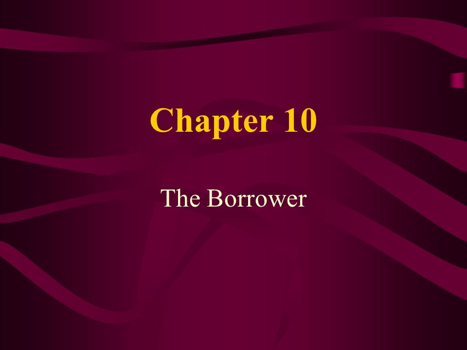 Chapter 10 The Borrower