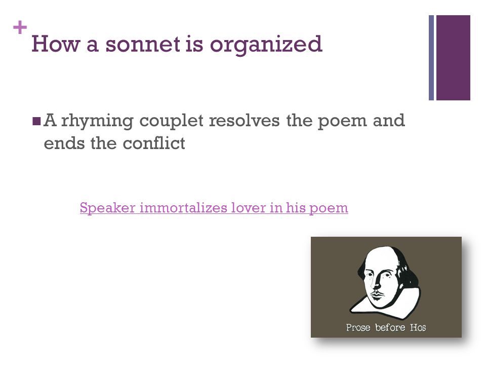 + How a sonnet is organized A rhyming couplet resolves the poem and ends the conflict Speaker immortalizes lover in his poem