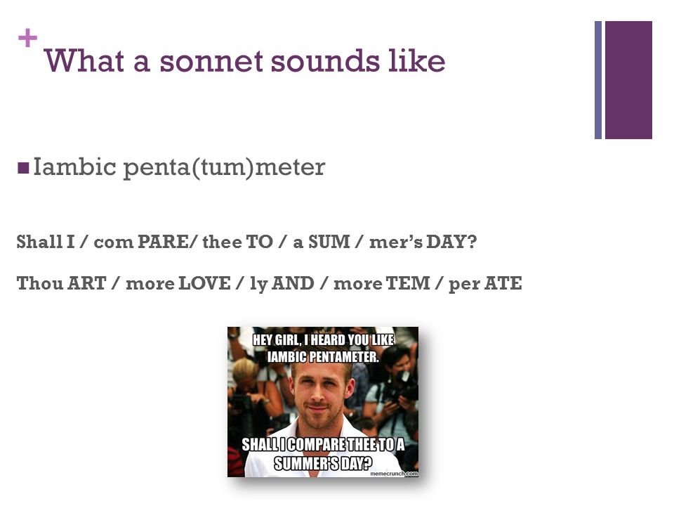 + What a sonnet sounds like Iambic penta(tum)meter Shall I / com PARE/ thee TO / a SUM / mer’s DAY.