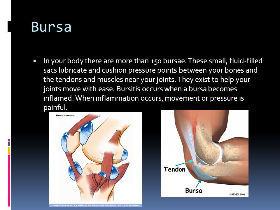 Bursa  In your body there are more than 150 bursae.