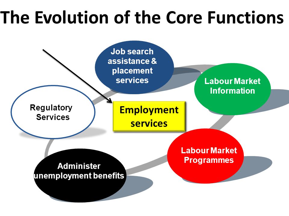 Regulatory Services Job search assistance & placement services Labour Market Information Administer unemployment benefits Labour Market Programmes Employment services