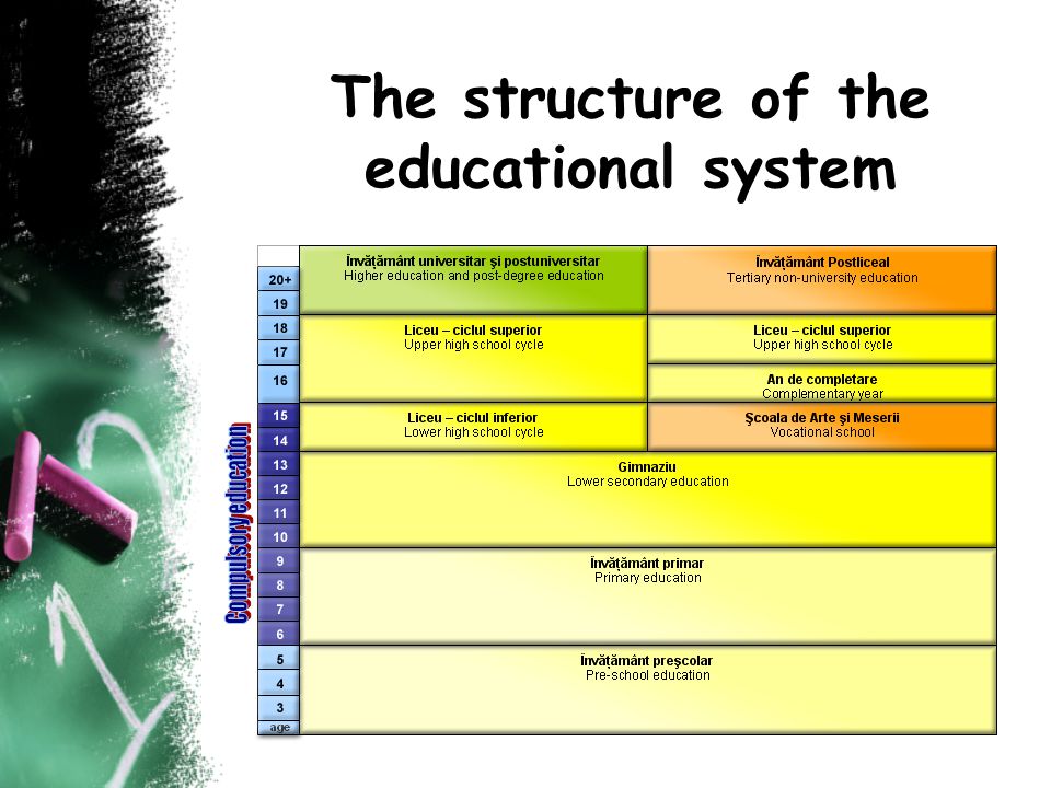 The structure of the educational system